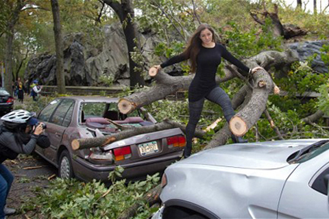 Sandy-1-jpg-1352086777_500x0.jpg
